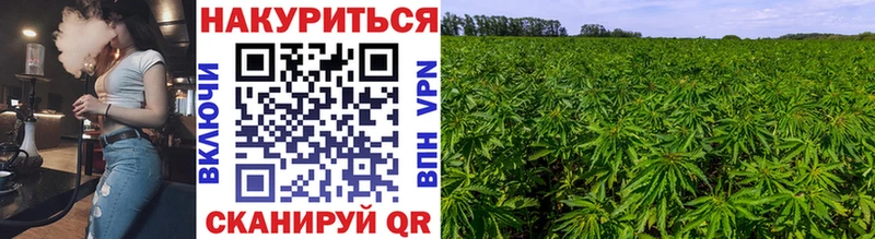 Бошки Шишки сатива  продажа наркотиков  Артём 